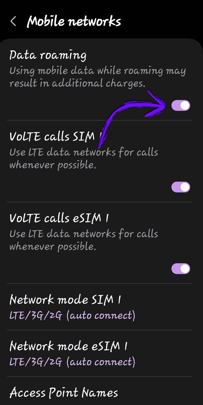 Aktifkan Data Roaming